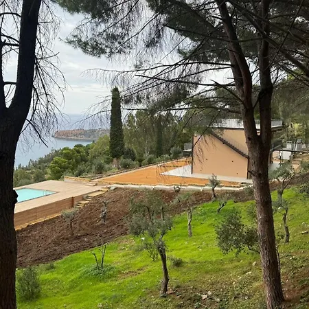 Pini, A Paradise Oasis