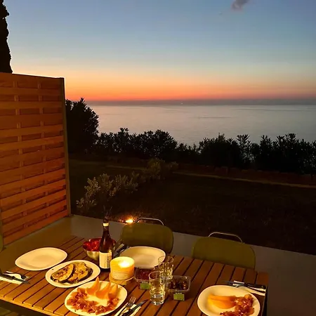 Pini, A Paradise Oasis Finale