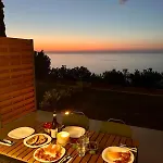 Pini, A Paradise Oasis Finale