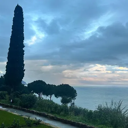 Apartament Pini, A Paradise Oasis *