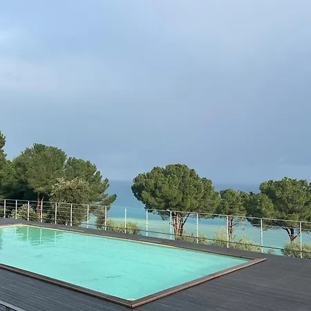 Pini, A Paradise Oasis Finale