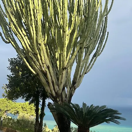 Appartamento Pini, A Paradise Oasis