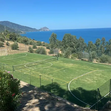 Pini, A Paradise Oasis Finale