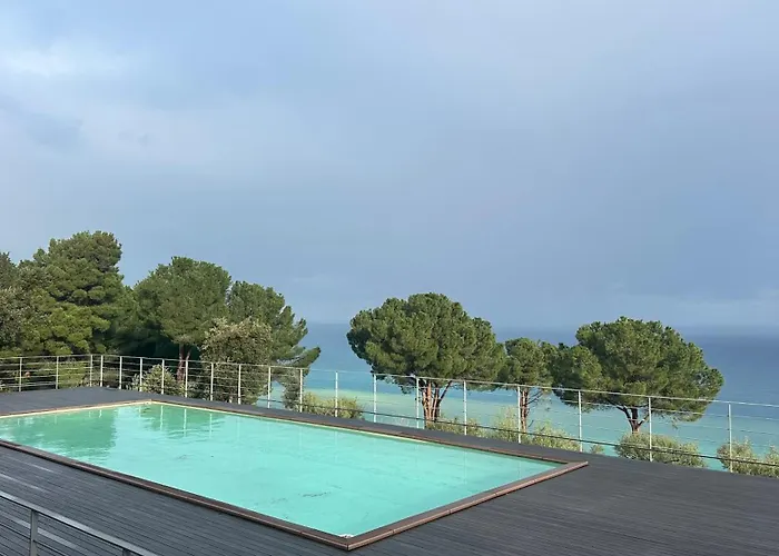 Pini, A Paradise Oasis Finale