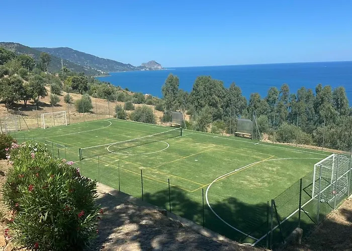 Pini, A Paradise Oasis Finale
