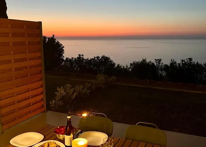 Pini, A Paradise Oasis Finale